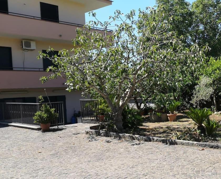 Villa Daniela Sarno Esterno foto